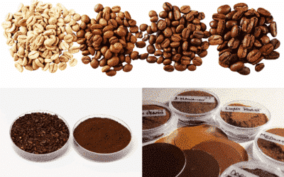 Defining the colour profile of coffee – with the help of spectral colorimeters