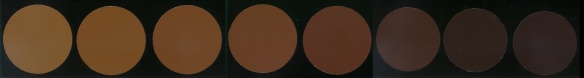 SCAA color scale